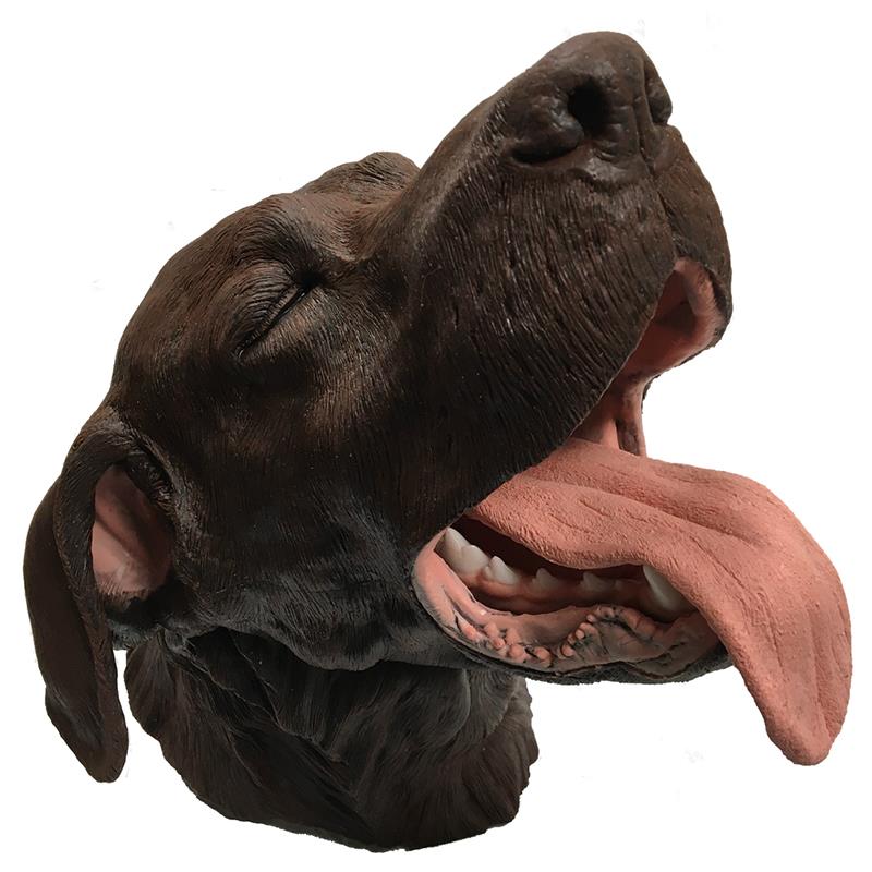 VET4560_1ZugHWjiXZZMbe