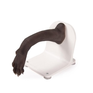 Bandage trainer canine paw