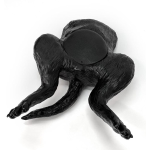 Ultrasound trainer dog bladder