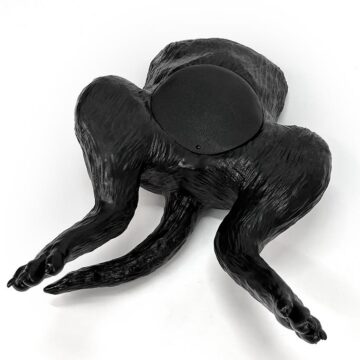 Ultrasound trainer dog bladder