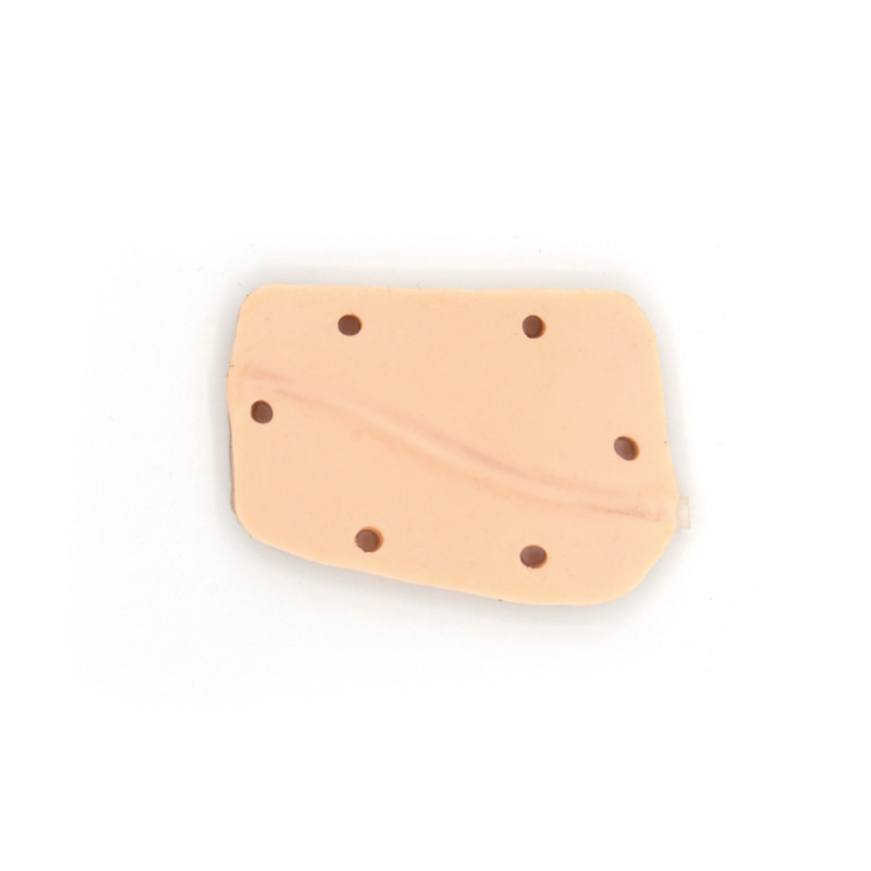 VET5000_11