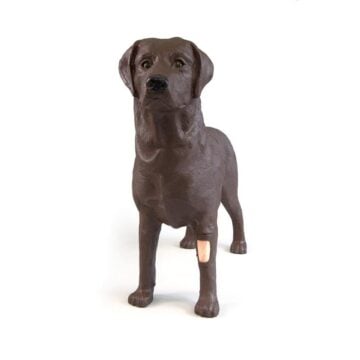 Gynecological training dog Bella