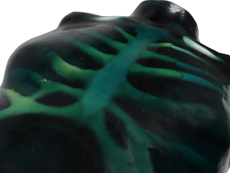 9100_1_1_800x800 Green skeleton with black skeleton on top