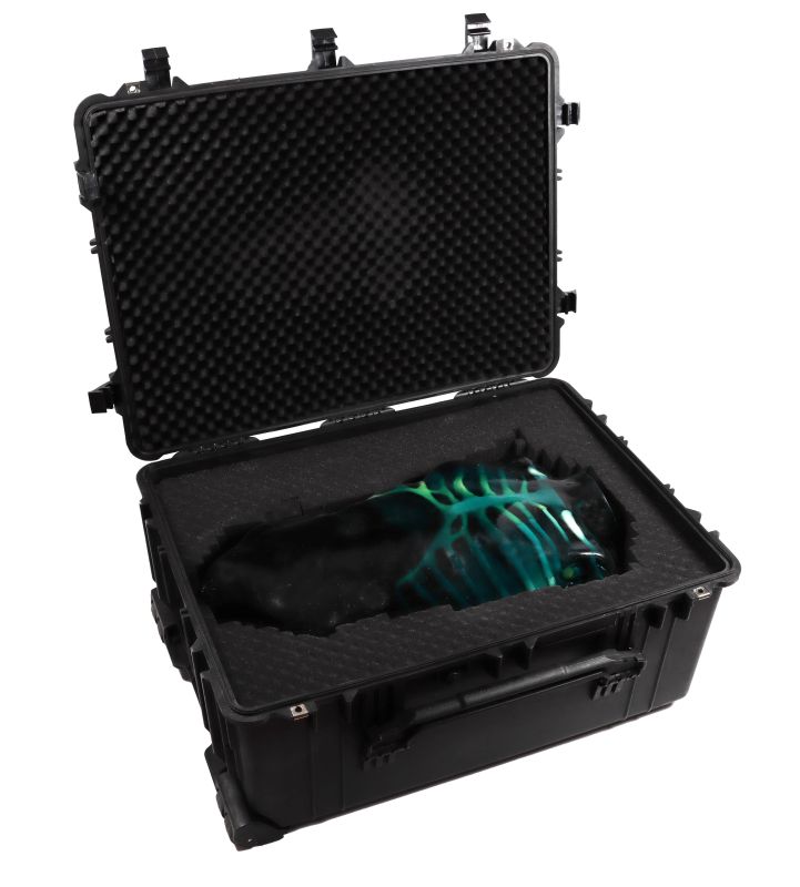 9100_5_800x800 Green and blue skeleton in Pelican case