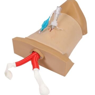 A mannequin model with a tube attached for medical training purposes