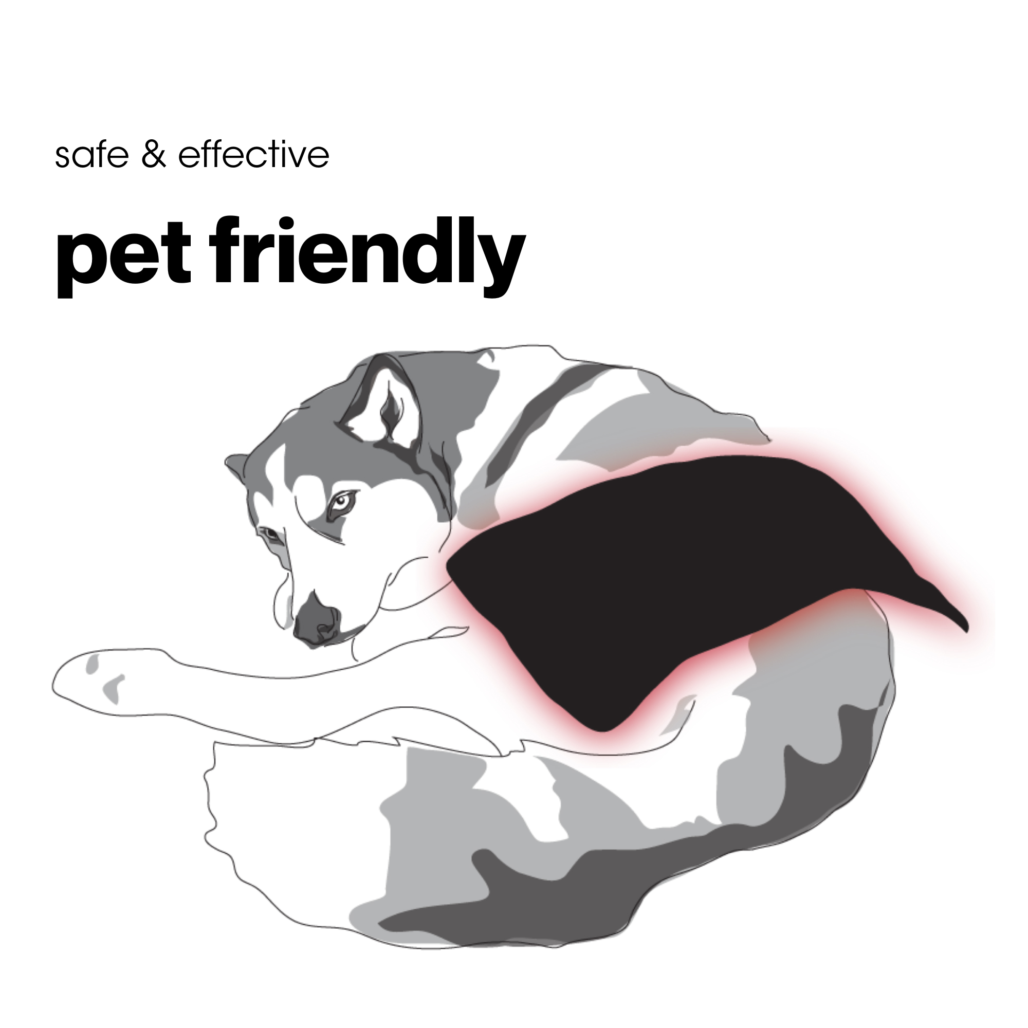 fringe_red_light_therapy_wrap_pet_friendly