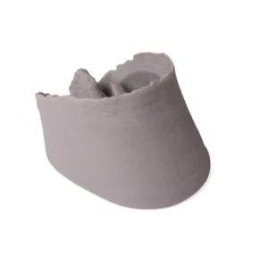 Hoof Capsule