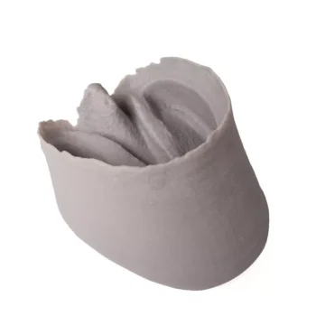 Hoof Capsule