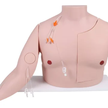Vascular Victor - Port and CVC Trainer