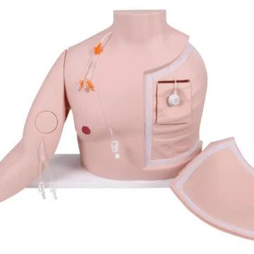 Vascular Victor - Port and CVC Trainer