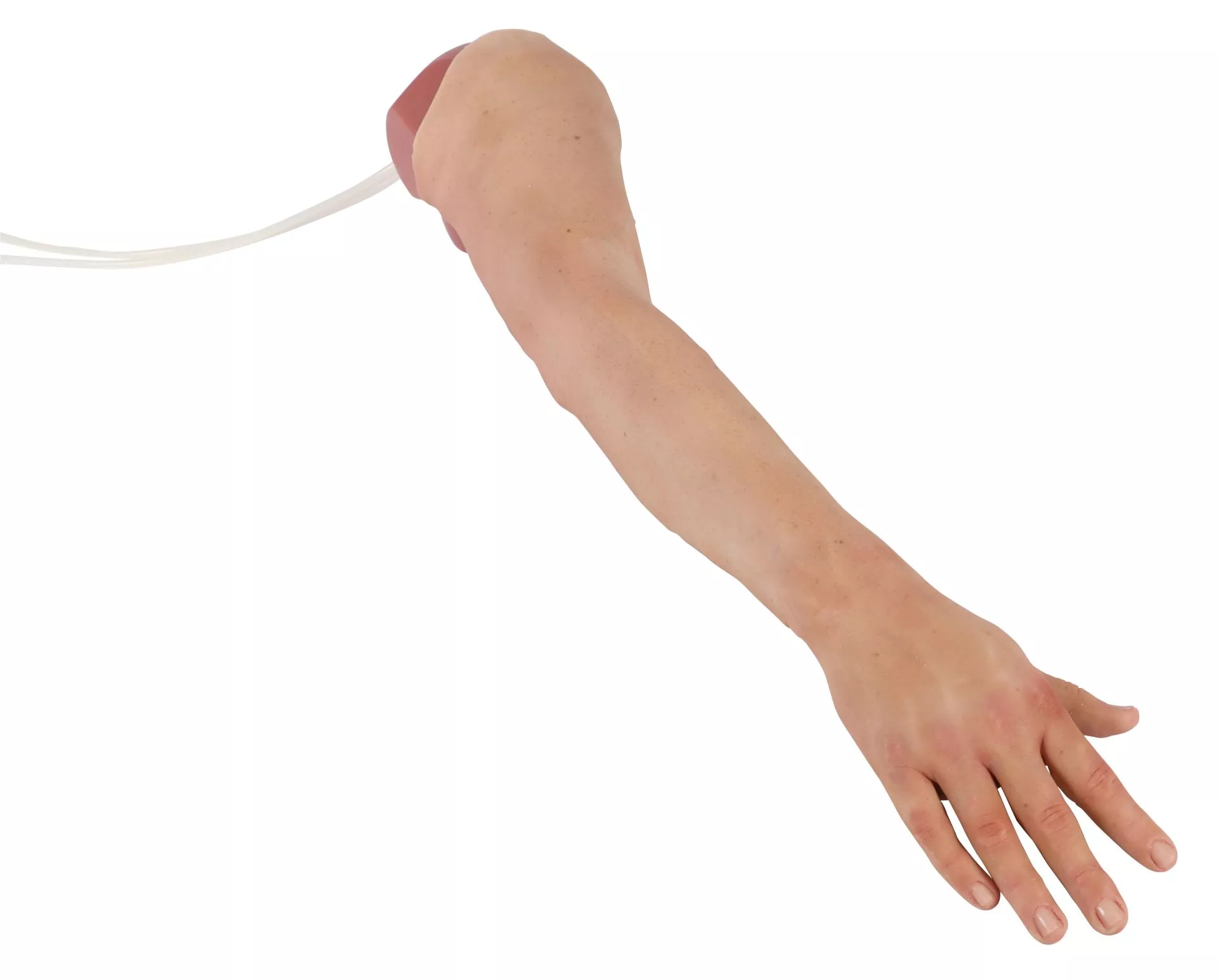 Puncture Pete – hyperrealistic IV training arm, light skin color Puncture Pete – hyperrealistic IV training arm, light skin color