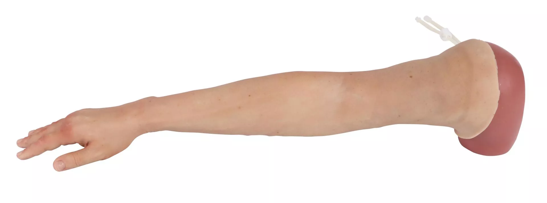 Puncture Pete – hyperrealistic IV training arm, light skin color Puncture Pete – hyperrealistic IV training arm, light skin color