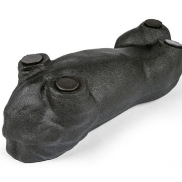 'Lillie' Canine Ultrasound Phantom Training Kit