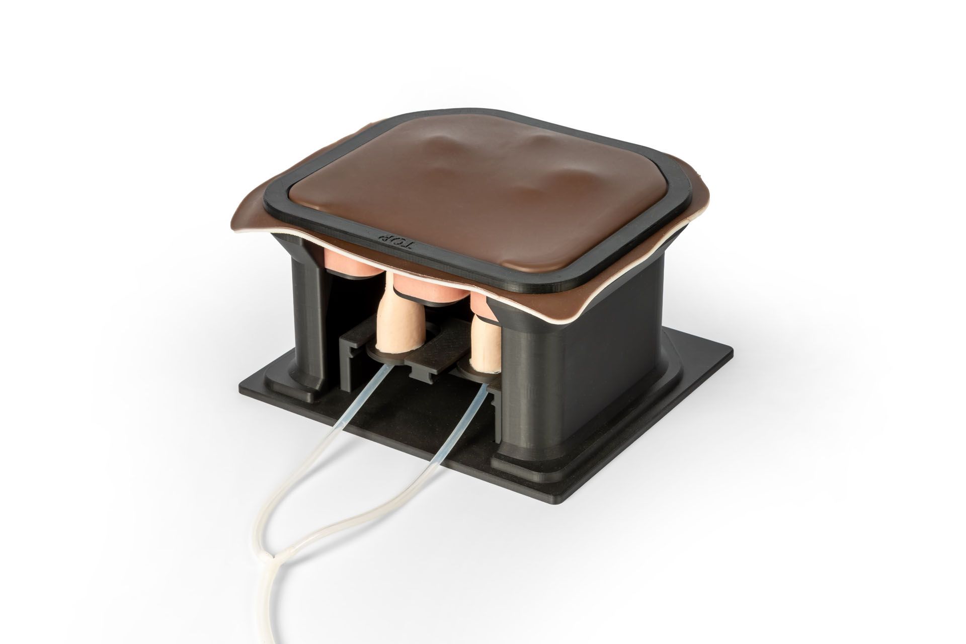 Equine Castration Surgical Simulator Equine Castration Surgical Simulator