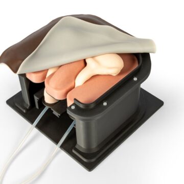 Equine Castration Surgical Simulator