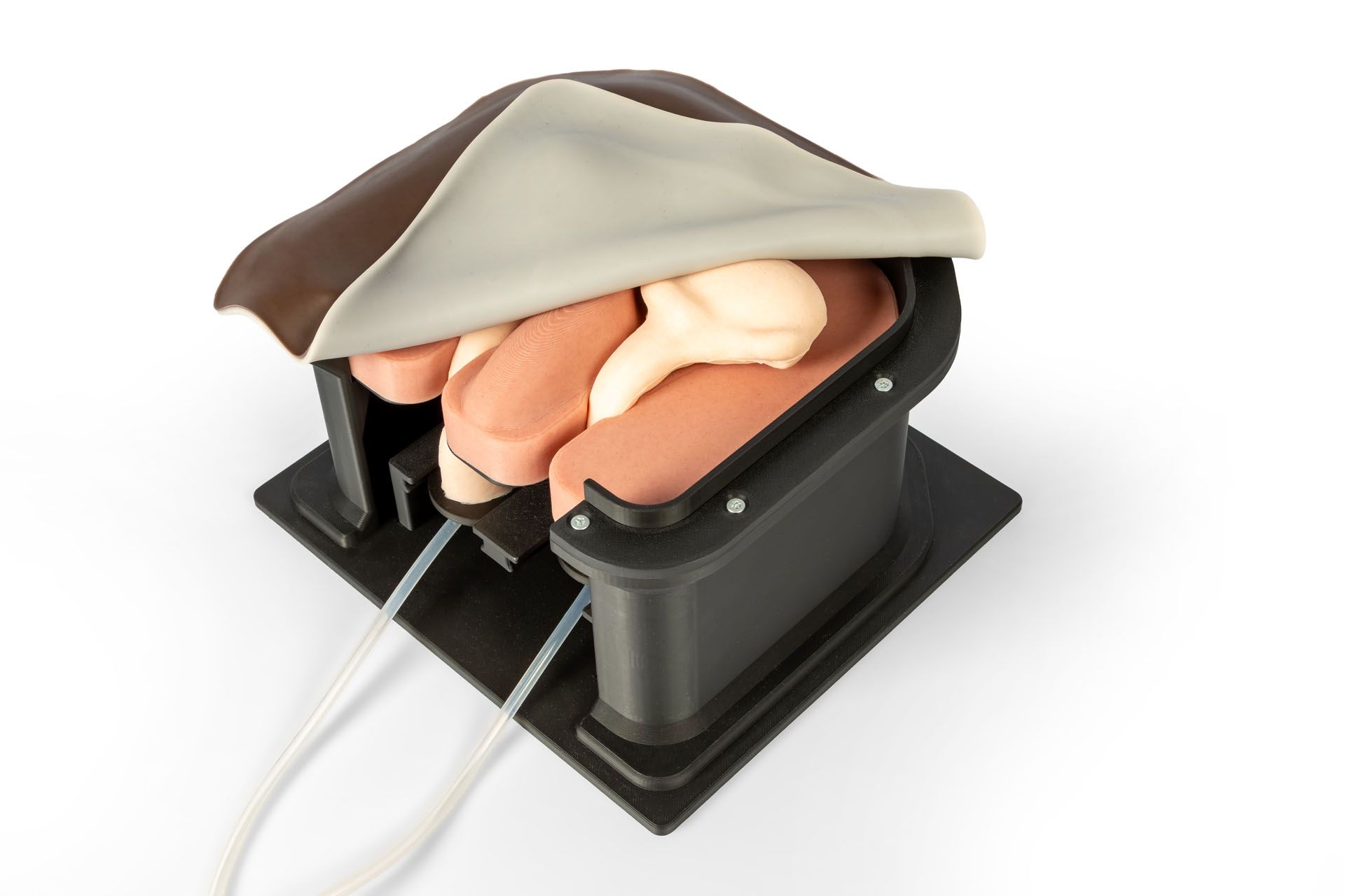 Equine Castration Surgical Simulator Equine Castration Surgical Simulator
