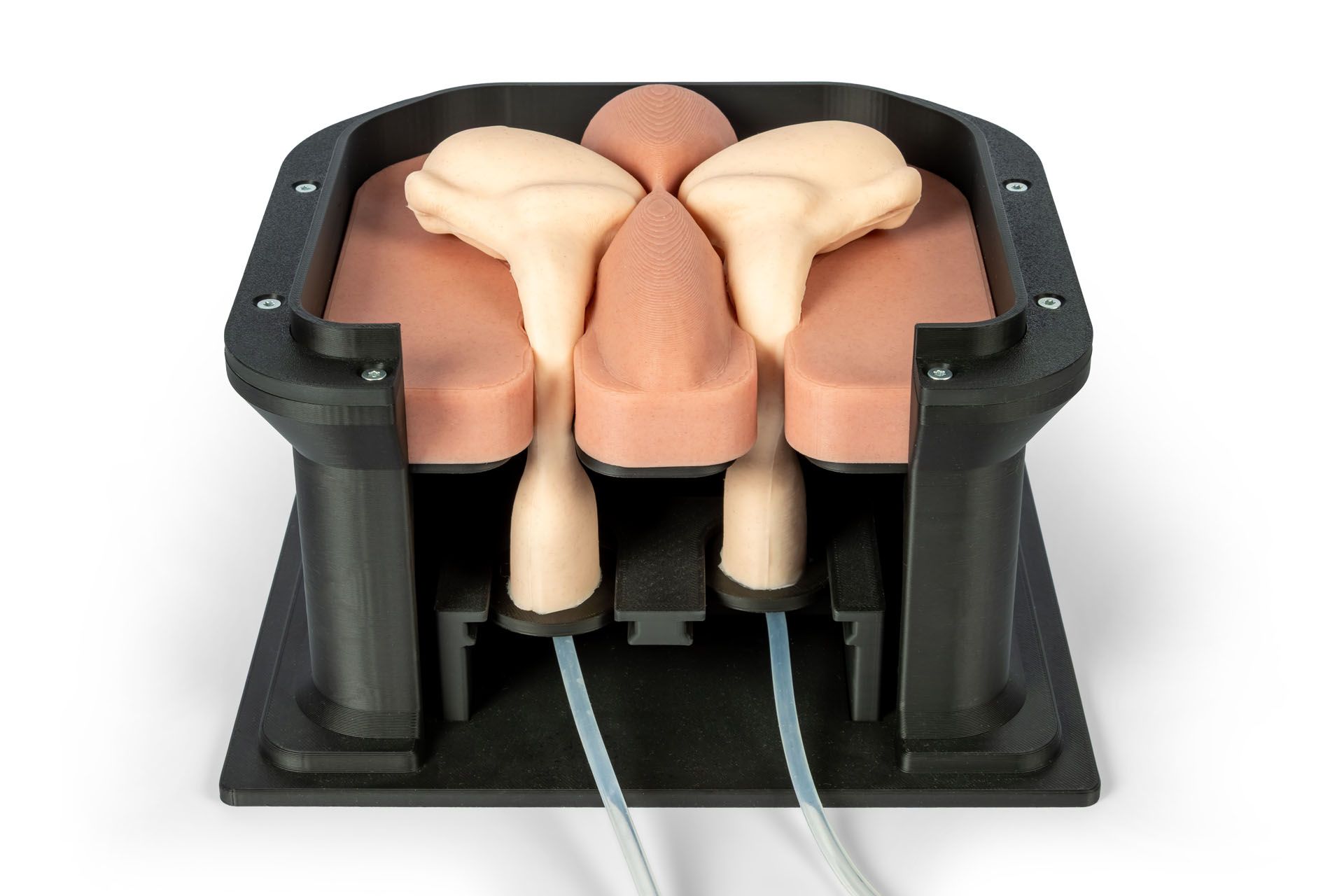 Equine Castration Surgical Simulator Equine Castration Surgical Simulator