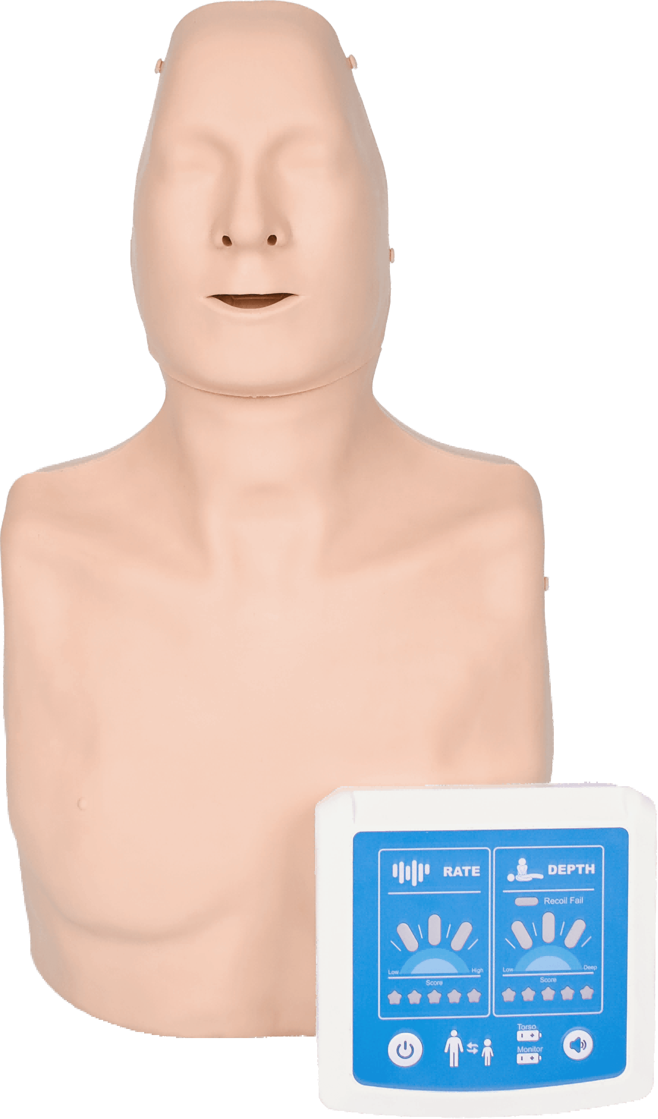 DS-10388 - Feedback CPR Training Manikin Feedback CPR Training Manikin