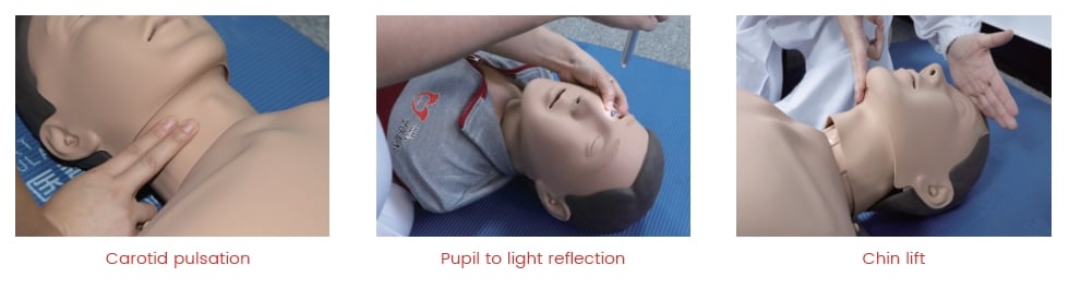 DS-10419 - Advanced CPR Training Manikin Advanced CPR Training Manikin