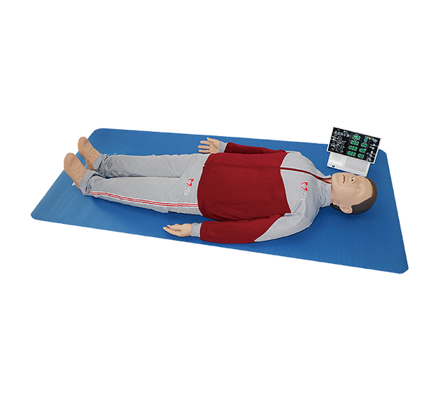 DS-10419 - Advanced CPR Training Manikin Advanced CPR Training Manikin
