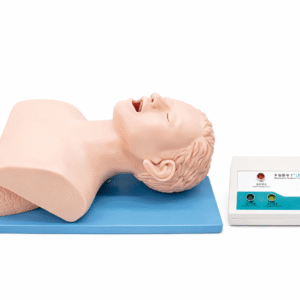 Electronic Trachea Intubation Training Model