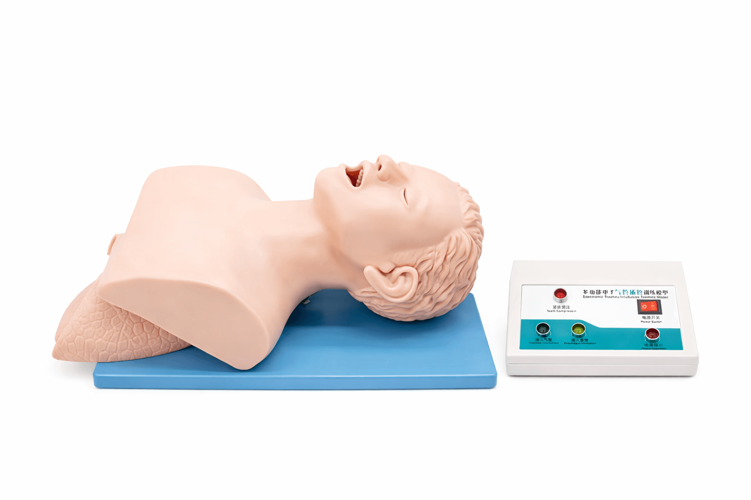 DS-10550 - Electronic Trachea Intubation Training Model Electronic Trachea Intubation Training Model
