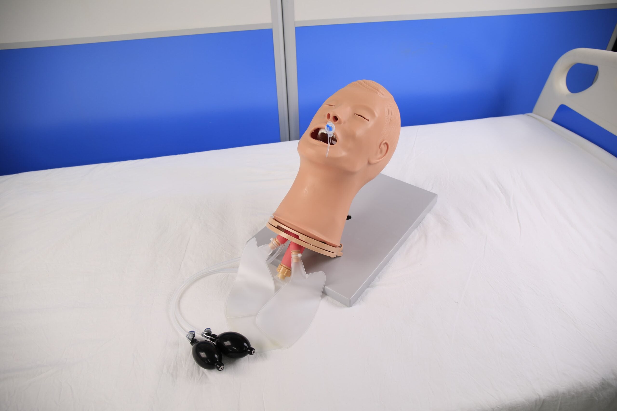 DS-10552 - Adult Intubation Model Adult Intubation Model