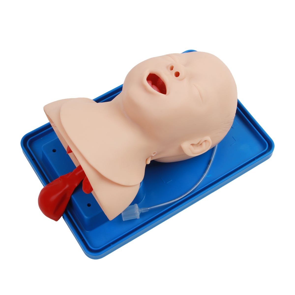 DS-10556 - Infant Trachea intubation Model Infant Trachea intubation Model