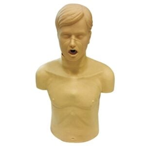 Adult Obstruction model