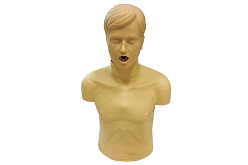 DS-10561 - Adult Obstruction model Adult Obstruction model