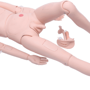 High Quality Nurse Training Manikin (Male)