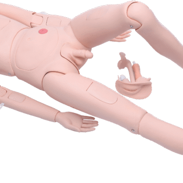 High Quality Nurse Training Manikin (Male)