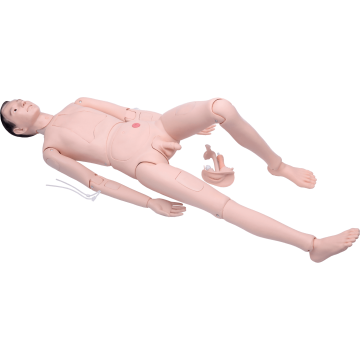 High Quality Nurse Training Manikin (Male)