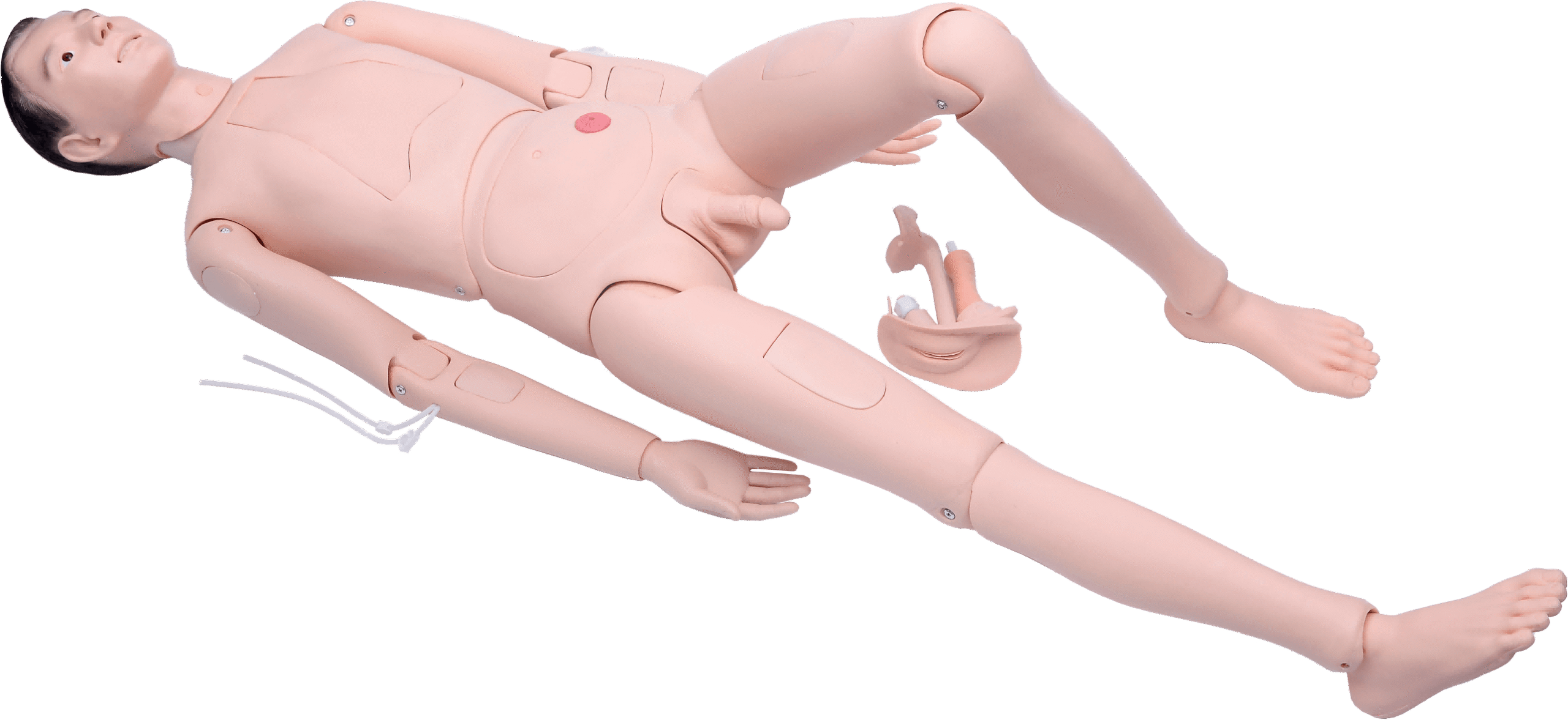 DS-20405 - High Quality Nurse Training Manikin (Male) High Quality Nurse Training Manikin (Male)