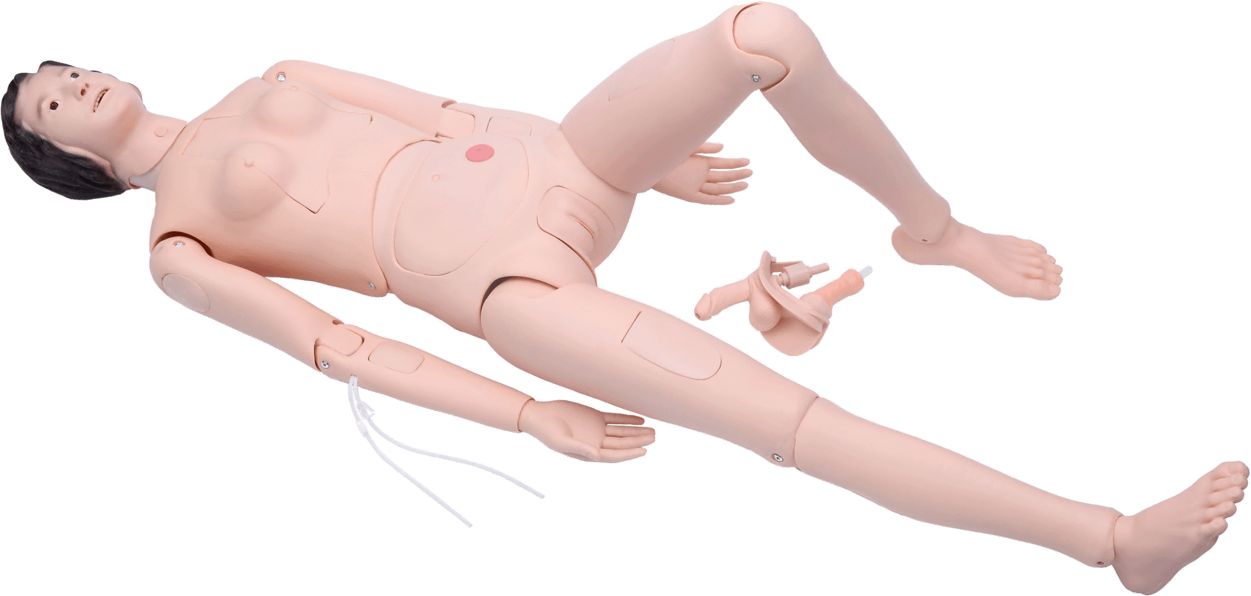 DS-20406 - High Quality Nurse Training Manikin (Female) High Quality Nurse Training Manikin (Female)