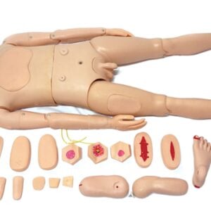 Comprehensive Nursing Training Manikin (Male)