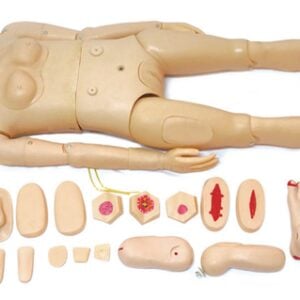 Comprehensive Nursing Training Manikin (Female)