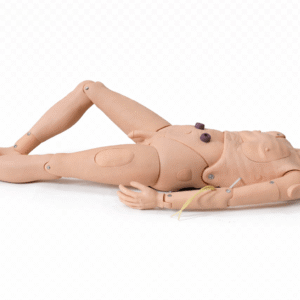 Elderly Care Training Manikin(Male)