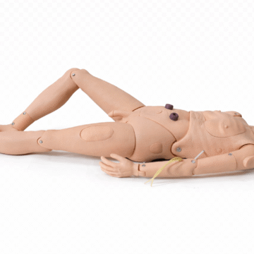 Elderly Care Training Manikin(Male)