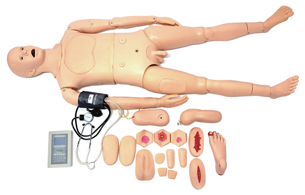 DS-20420 - Nursing Training Manikin with Blood Pressure Measurement Nursing Training Manikin with Blood Pressure Measurement