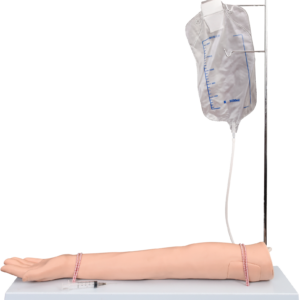 Injectable Training Arm Model (With Set)
