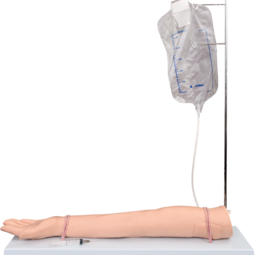 Injectable Training Arm Model (With Set)