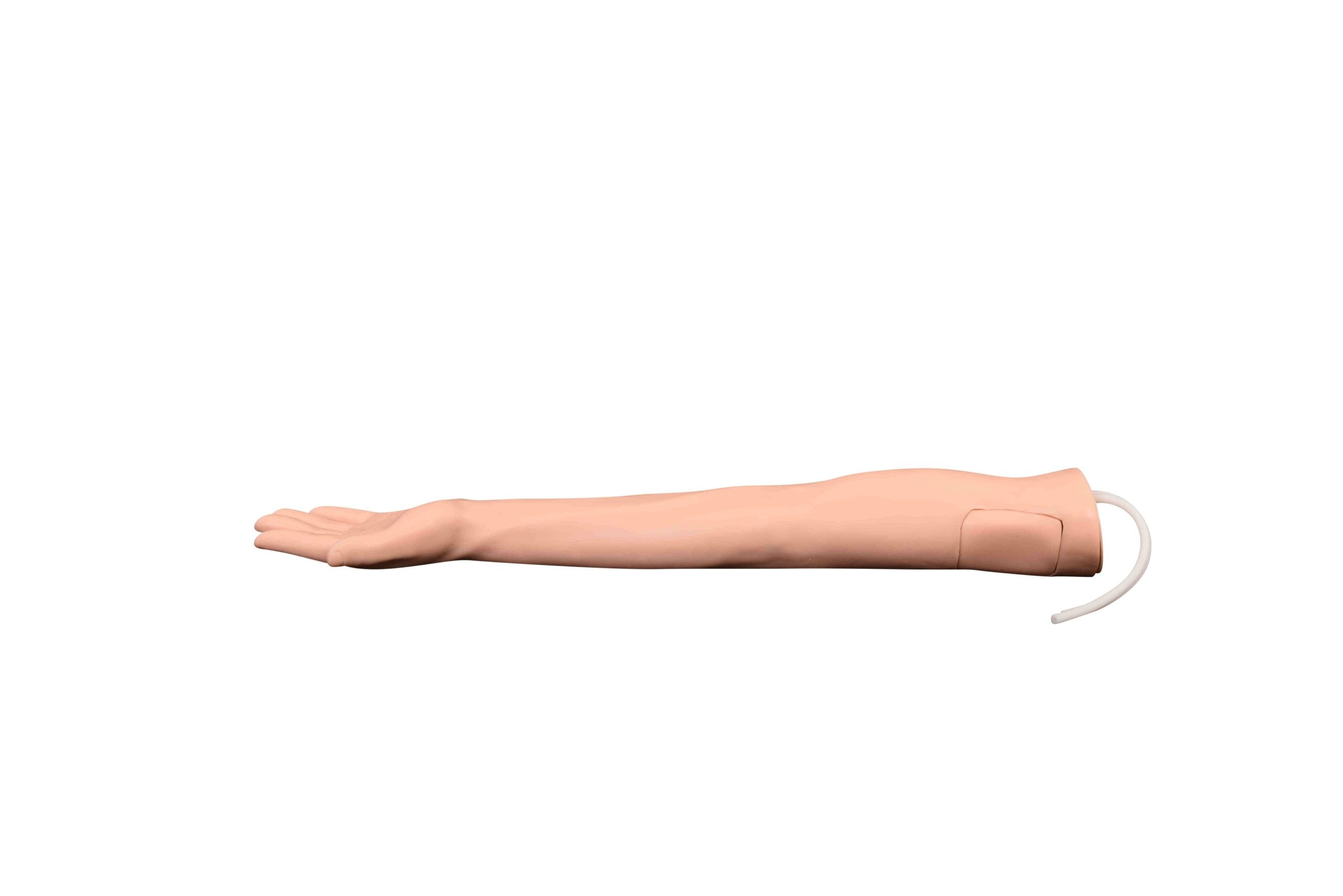 DS-20602 - Injectable Training Arm Model (Without Set) Injectable Training Arm Model (Without Set)