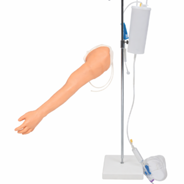 Complete Venipuncture and Injection Training Arm