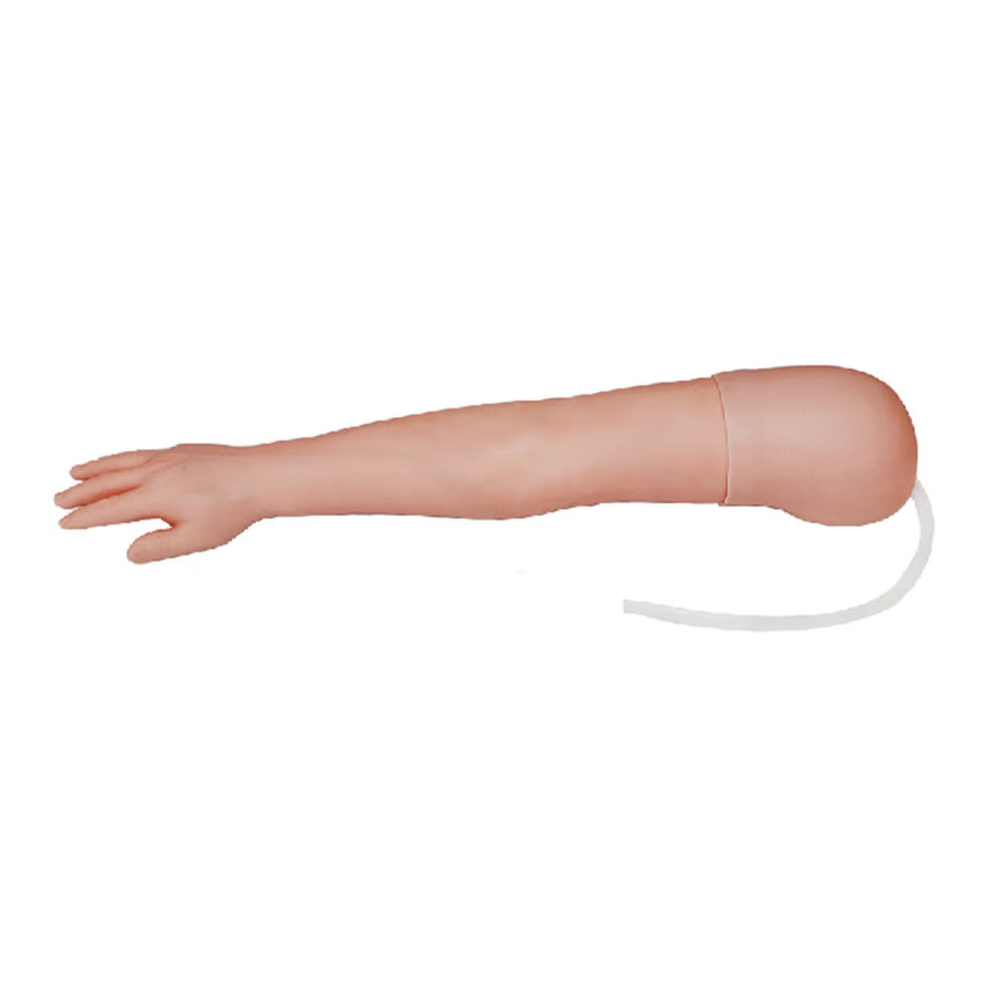 DS-20611 - Basic Arterial Puncture Training Arm Basic Arterial Puncture Training Arm