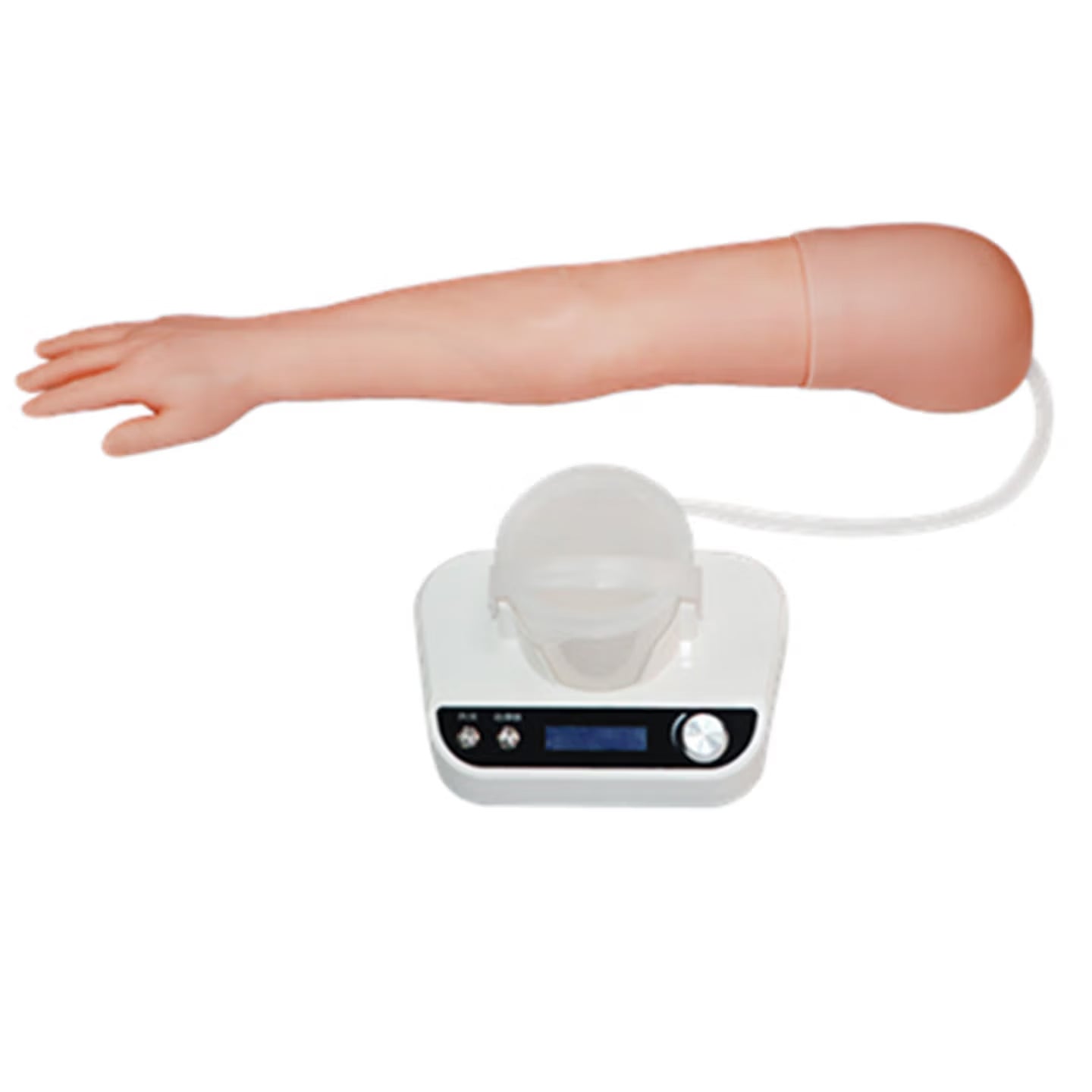 DS-20612 - Advanced Arterial Puncture Training Arm Advanced Arterial Puncture Training Arm