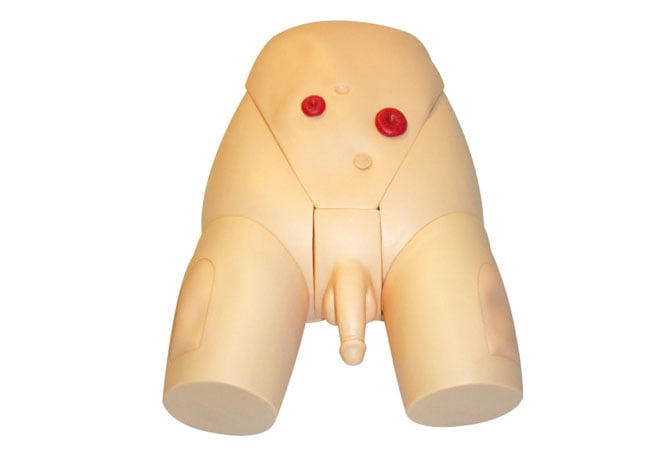 DS-20701 - Male Catheterization Training Model Male Catheterization Training Model