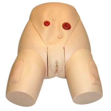 Female Catheterization Training Model