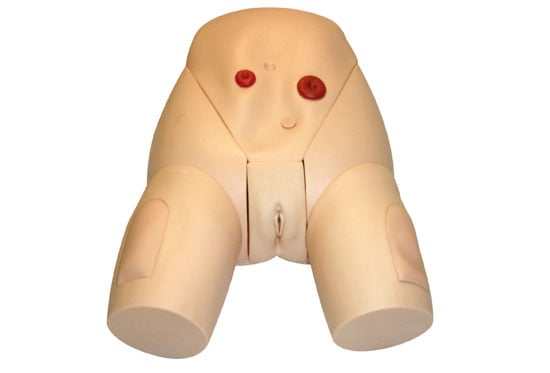 DS-20702 - Female Catheterization Training Model Female Catheterization Training Model