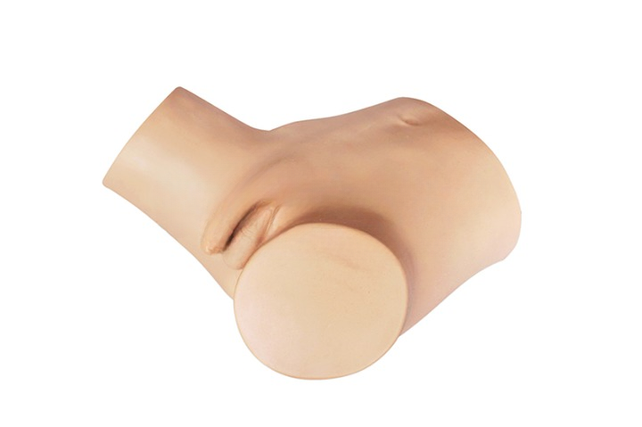 DS-20703 - Intelligent Male Catheterization Training Simulator Intelligent Male Catheterization Training Simulator